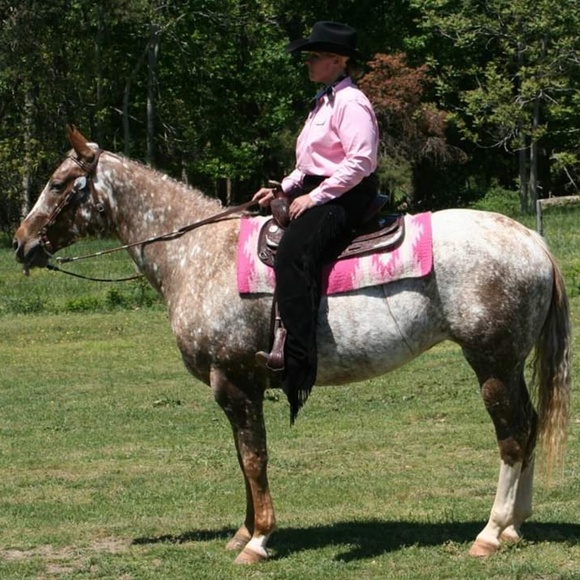 appaloosagirl